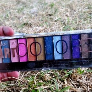 Santee Art Colors eyeshadow pallet #2
